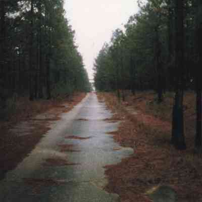 Picture- Camp Claiborne, La- Company Street- 1988