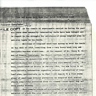 Report of Sample Plots 1920 (b)
