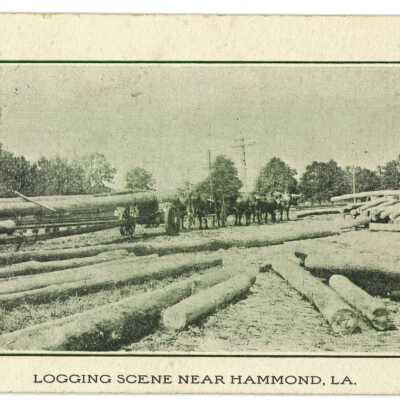 Postcard of Hammond, LA (a)