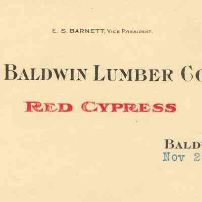 The Baldwin Lumber Co., LTD.