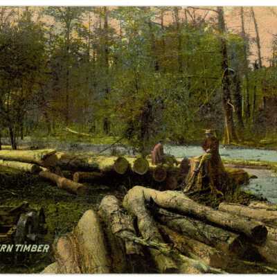 Postcard of Southern Timber