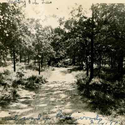 Camp Claiborne - Back Woods - July 1943