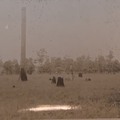 Photograph of Long Leaf from June 1, 1942