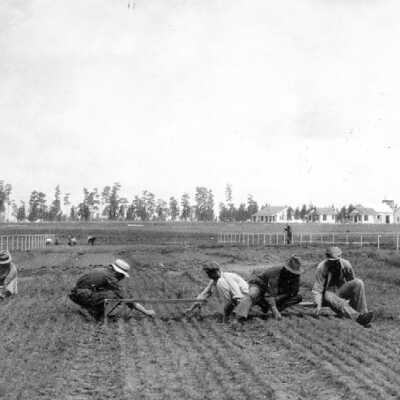 Weeding in Stuart Nursery