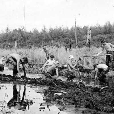 Clearing for Drainage