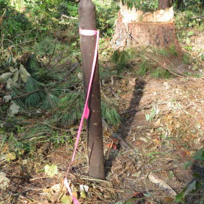 Ruins of Tennis Court