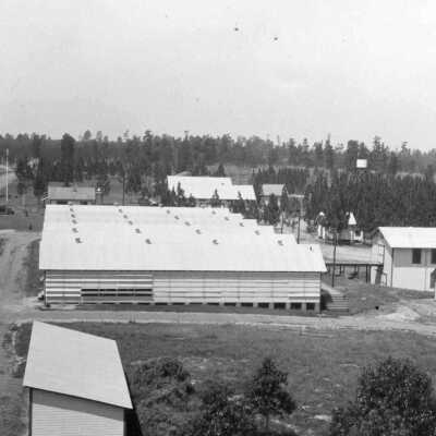 Cone and Seed Processing Buildings