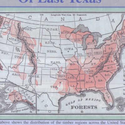 U. S. Forests Map