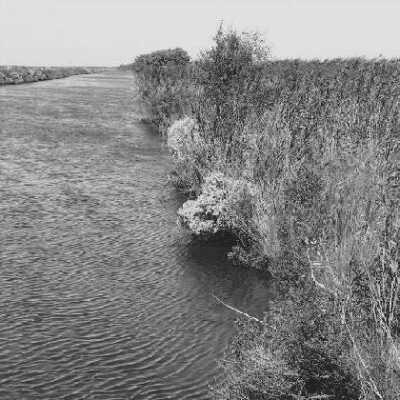 Sabine National Wildlife Refuge
