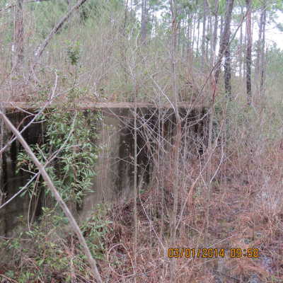 Ruins of Railroad Loading Dock