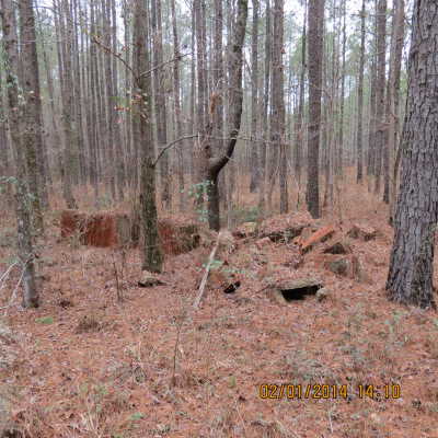 Unknown Brick Ruins in West Camp Claiborne Area