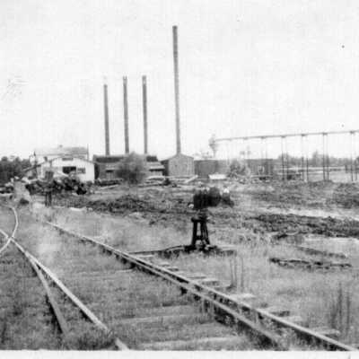 Saw Mill (Long Leaf)