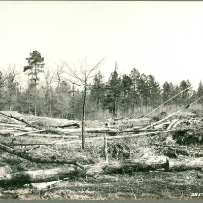 Construction of a Dam