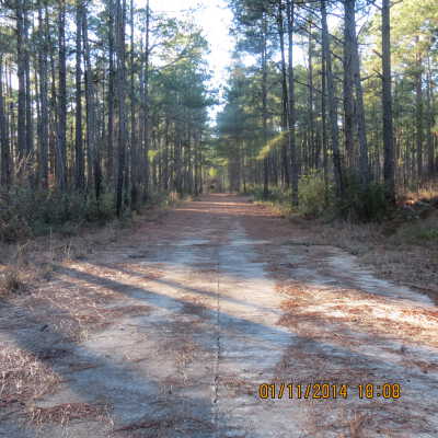 Ruins of Hospital and Main Entrance Road