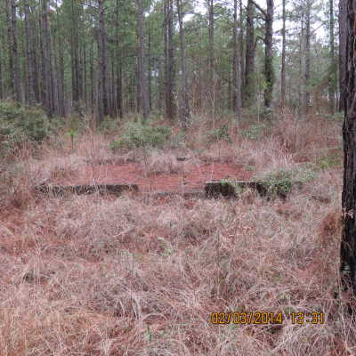 Unknown Foundation Ruins in West Camp Claiborne Area