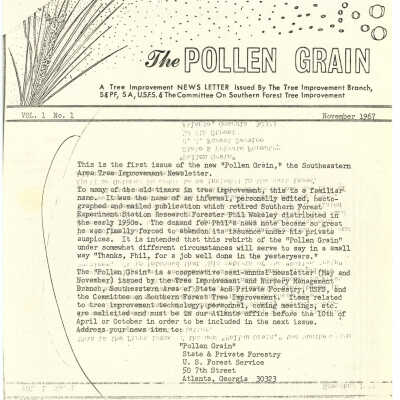 The Pollen Grain