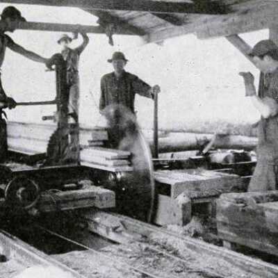 portable sawmill: Page 2