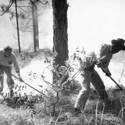 Fighting Forest Fires