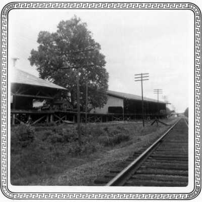 Planer Mill (Long Leaf)