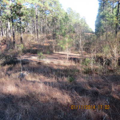 West Camp Claiborne Theater Ruins (Engineer Area)
