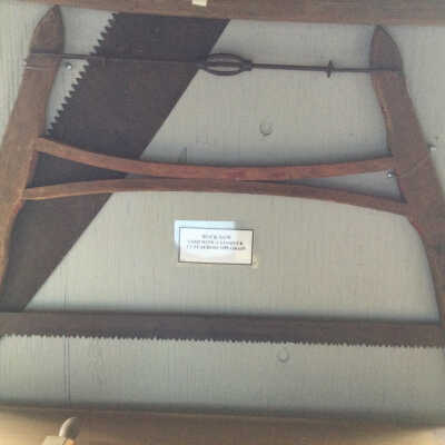Buck Saw