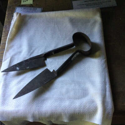 Sheep Shears