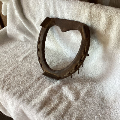 Draft Horseshoe