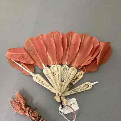 Women's Fan