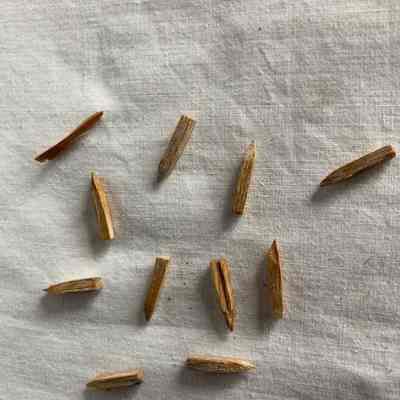 Assorted Wooden Shoe Pegs