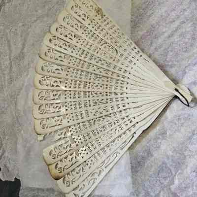 Women's Fan