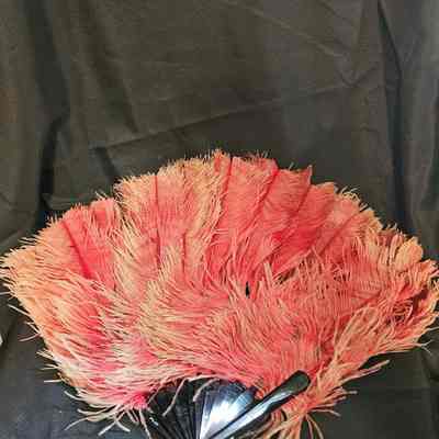 Women's Fan