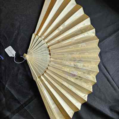 Women's Fan