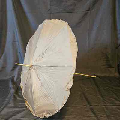 Brown Parasol
