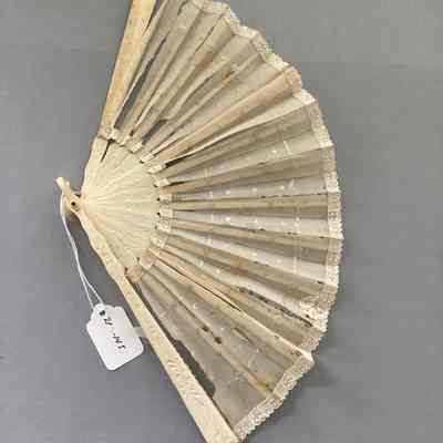 Women's Fan