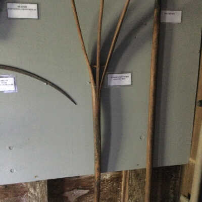 Hay Fork