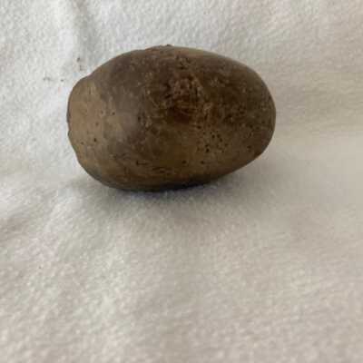 Small Native American Hammer Stone