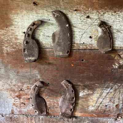 Group of Ox Shoes