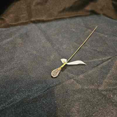 Hat Pin