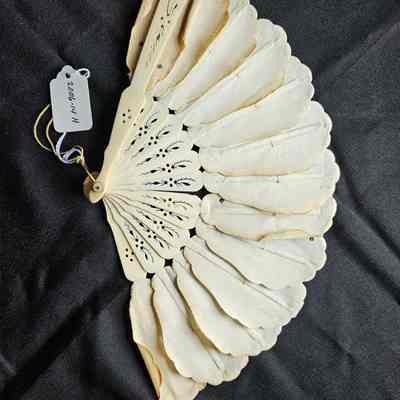 Women's Fan