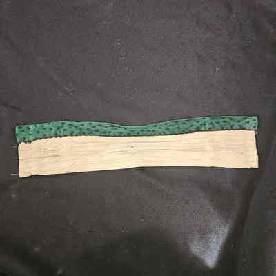 White Boned Collar with Green Velvet Trim