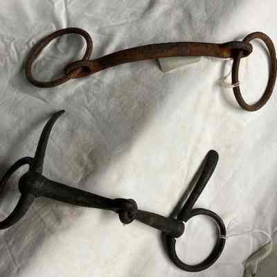 Two Horse Bits