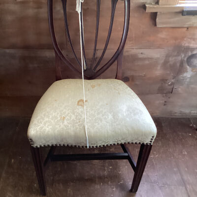 Shield back Chair
