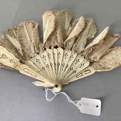Women's Fan