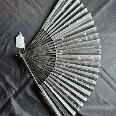 Women's Fan