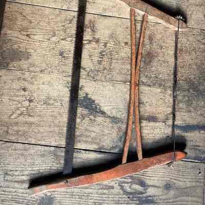 Buck Saw