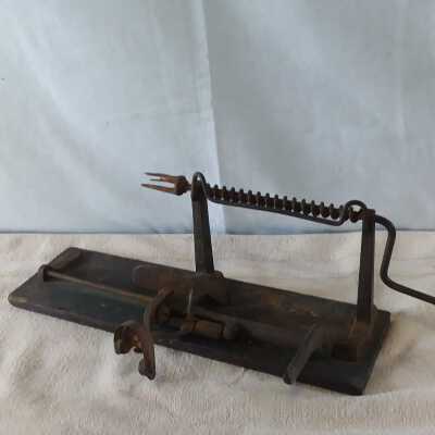 Apple Parer