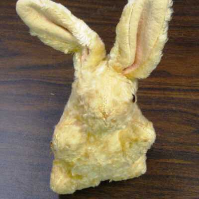 Animal, Stuffed