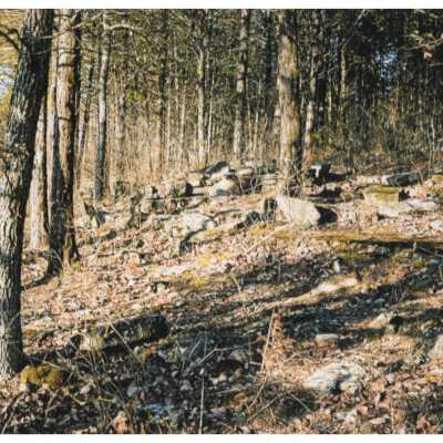 Photo of ruins of the Buel Hotel demolished in the Melva, MO tornado in 1920