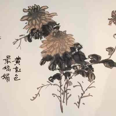 Chrysanthemum
