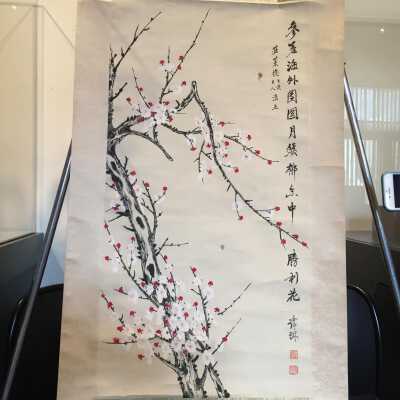 Plum Blossom